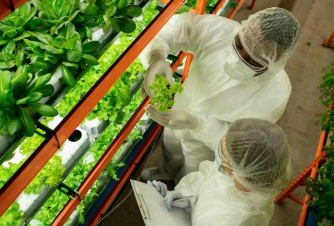 Giấy Phép Chứng Nhận ATVSTP